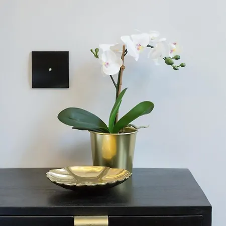 Le Cafe Des Invalides Διαμέρισμα